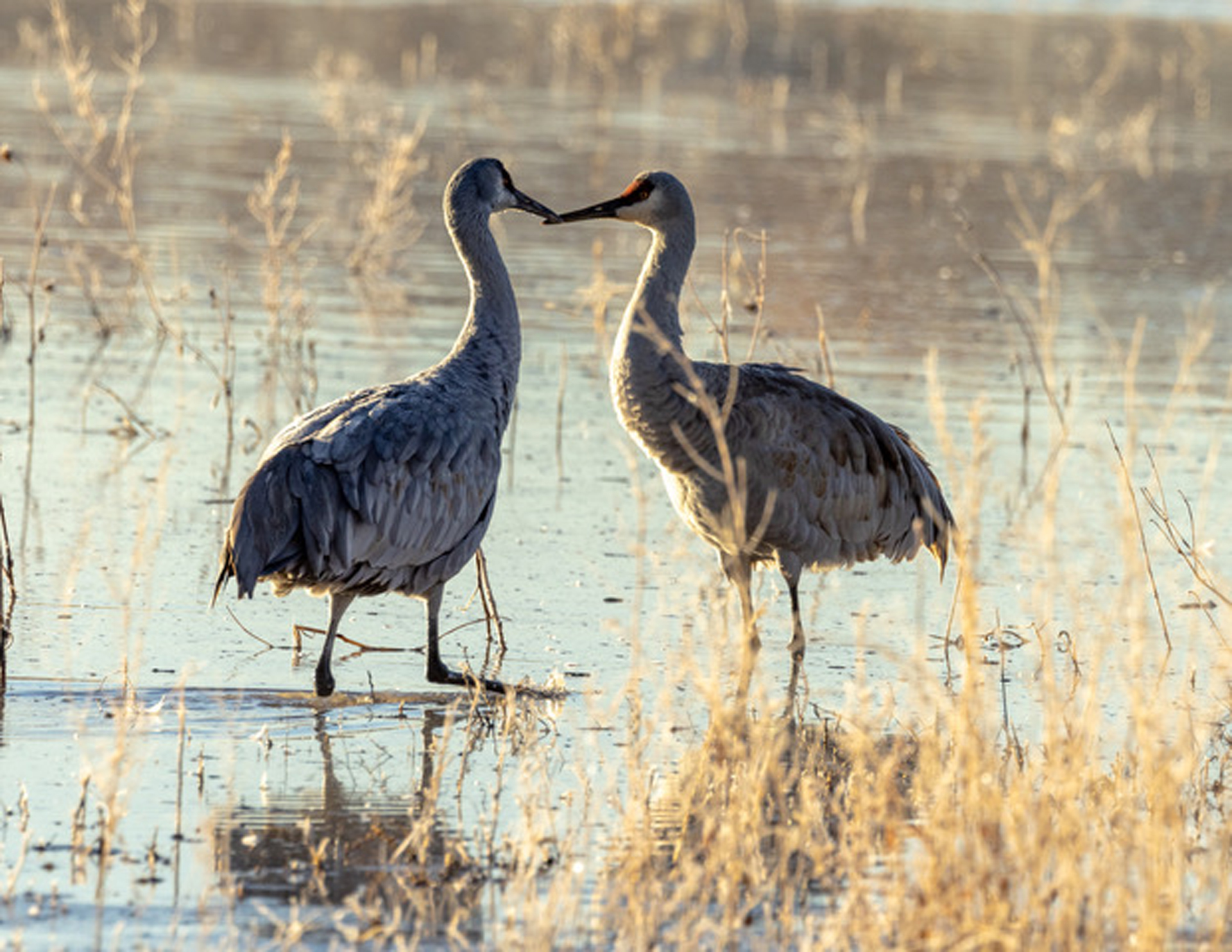 A Kiss is Just a Kiss by Gordon Vanus